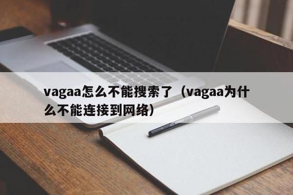 vagaa创始人?vagaa是什么-图1 vagaa创始人?vagaa是什么-图1