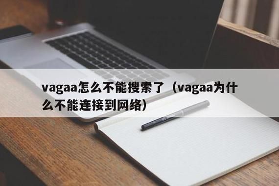 vagaa创始人？vagaa是什么