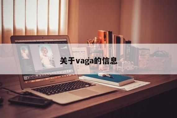 vagaa创始人?vagaa是什么-图3 vagaa创始人?vagaa是什么-图3