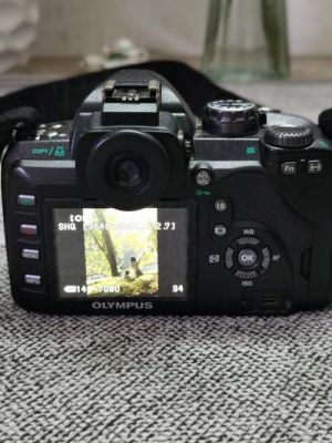 奥林巴斯系列相机型号排序？奥林巴斯e510