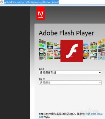 flash是什么意思？flansh