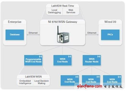 wsnbb是什么意思？wsn什么意思