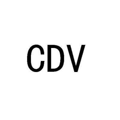 CDV是什么意思啊？cdv是什么意思