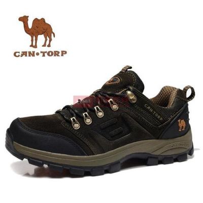 骆驼的英文cantorp,这两个单词分别是什么意思?cantorp-图3 骆驼的英文cantorp,这两个单词分别是什么意思?cantorp-图3