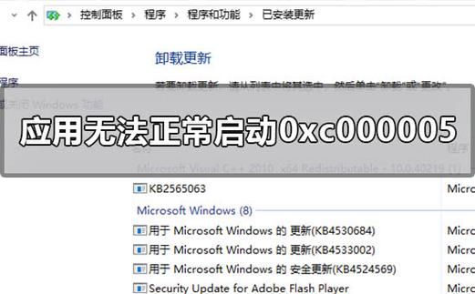 电脑出现0xc000005怎么回事？应用程序无法正常启动0xc000005