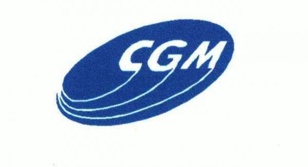 cgm在单位里代表什么意思？cgm是什么意思
