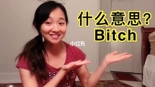 bitch是什么意思?betch-图2 bitch是什么意思?betch-图2