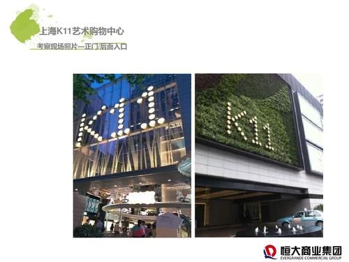 k11教育是什么意思?k11是什么意思-图3 k11教育是什么意思?k11是什么意思-图3