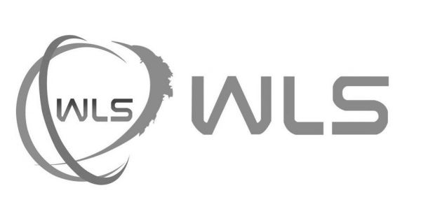 wls服装什么意思?wls是什么意思-图2 wls服装什么意思?wls是什么意思-图2
