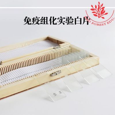 玻片和白片的区别?白片是什么-图2 玻片和白片的区别?白片是什么-图2