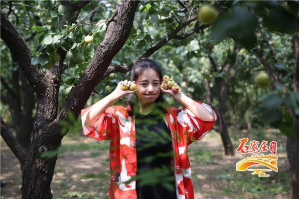 巨鹿红杏节举办时间?红杏直播app-图3 巨鹿红杏节举办时间?红杏直播app-图3