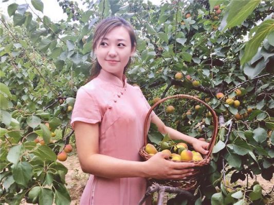 巨鹿红杏节举办时间?红杏直播app-图2 巨鹿红杏节举办时间?红杏直播app-图2