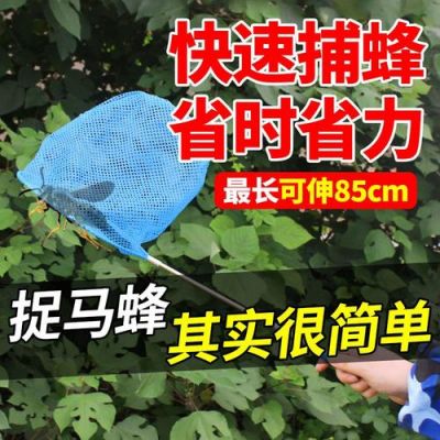 蜜蜂能进多大的网？蚂蜂网