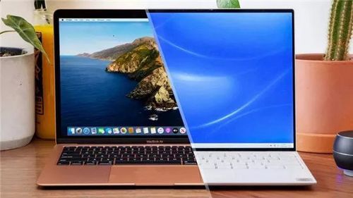 苹果macbook和戴尔dell（macbook和dell比较）