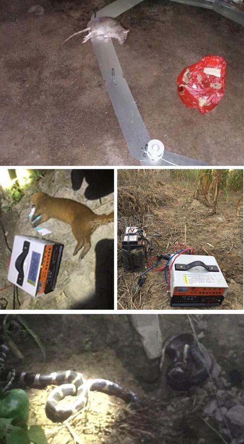 电猫捕鼠器故障与维修？电猫捕鼠器