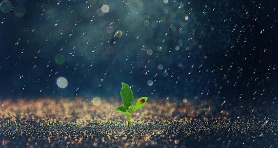 被雨水淹了的文案？屋顶上的漫步者