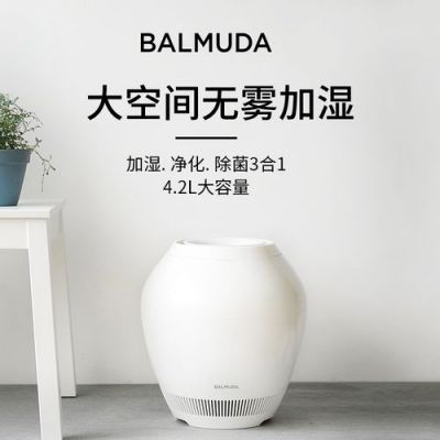 balmuda巴慕达加湿器e01故障？balmuda