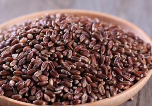 紫麦的别称?紫麦-图2 紫麦的别称?紫麦-图2