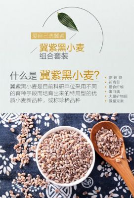 紫麦的别称?紫麦-图3 紫麦的别称?紫麦-图3