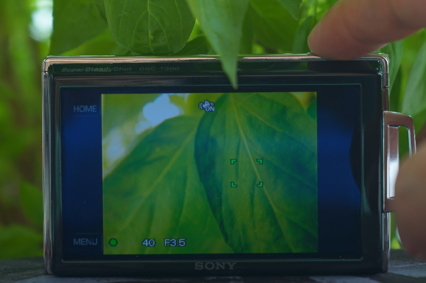 索尼t300拍照效果？索尼t300