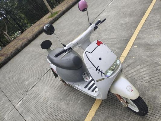 电驴是什么?电驴是什么-图3 电驴是什么?电驴是什么-图3