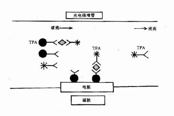 在化学上,什么是“电化学发光法”?ecli-图1 在化学上,什么是“电化学发光法”?ecli-图1