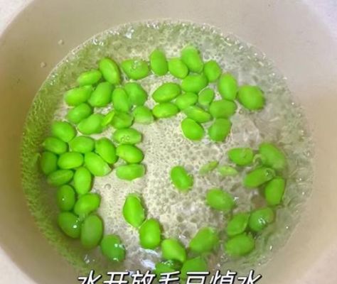 奇豆种植时间?奇豆-图2 奇豆种植时间?奇豆-图2