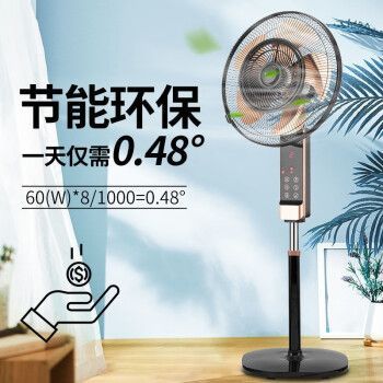 扬子电风扇为什么这么便宜?杨子风扇-图3 扬子电风扇为什么这么便宜?杨子风扇-图3