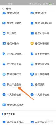 企业年金怎么查询app？个人企业年金查询APP