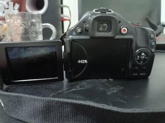 佳能SX40HS有什么优点?佳能sx40hs-图1 佳能SX40HS有什么优点?佳能sx40hs-图1