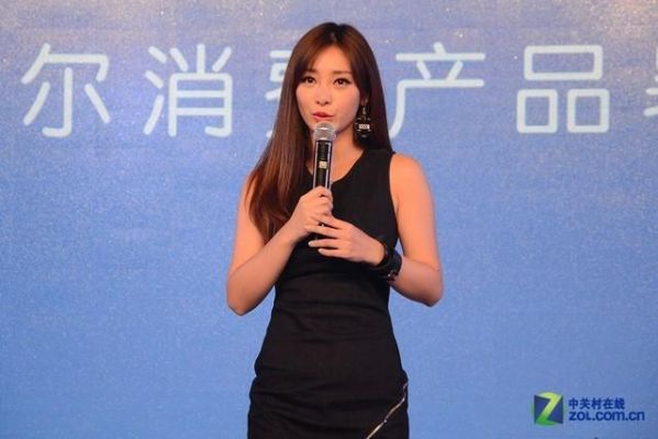 戴尔柳岩（戴尔孙刚）