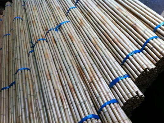 竹炮可以用铁管代替吗?竹炮-图2 竹炮可以用铁管代替吗?竹炮-图2
