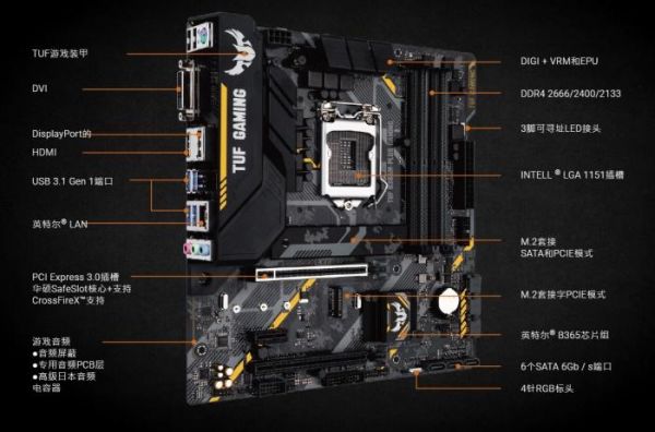 华硕b550m-plus跳线怎么插?跳线接法图解-图2 华硕b550m-plus跳线怎么插?跳线接法图解-图2