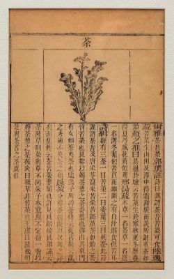 茶经中茶的别称?三茗-图2 茶经中茶的别称?三茗-图2