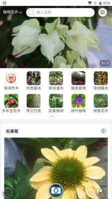 搜花怎么搜？形色识花