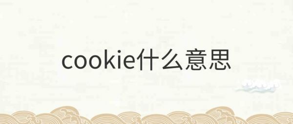 cookie有什么特殊意思啊?cookie是什么意思-图1 cookie有什么特殊意思啊?cookie是什么意思-图1