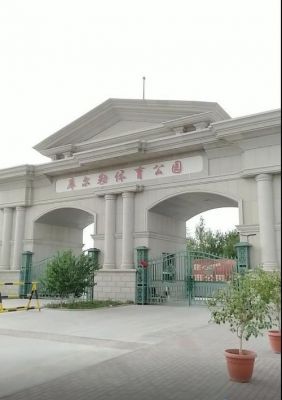 库尔勒好吃好玩的地方?维拉特-图2 库尔勒好吃好玩的地方?维拉特-图2