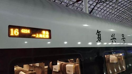 G开头的车哪些是复兴号?g232-图3 G开头的车哪些是复兴号?g232-图3