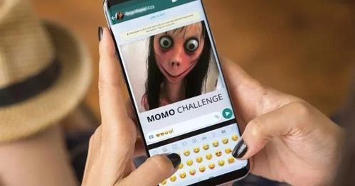 momo是什么意思？momo什么意思