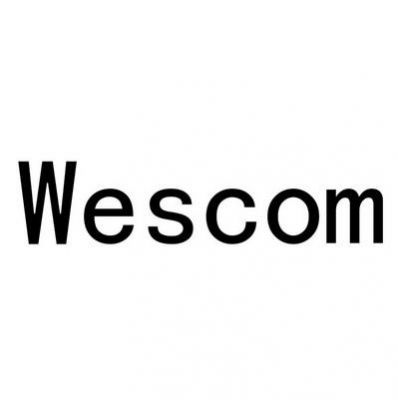wescom质量怎么样?wescom-图3 wescom质量怎么样?wescom-图3