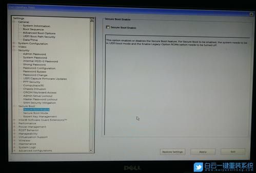 戴尔v131u盘启动设置(戴尔inspiron13u盘启动)-图3 戴尔v131u盘启动设置(戴尔inspiron13u盘启动)-图3