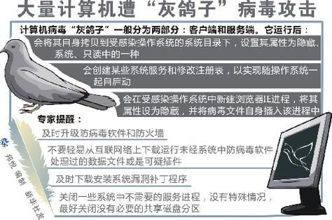 灰鸽子是什么病毒?灰鸽子木马-图1 灰鸽子是什么病毒?灰鸽子木马-图1
