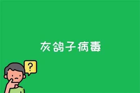 灰鸽子是什么病毒?灰鸽子木马-图3 灰鸽子是什么病毒?灰鸽子木马-图3