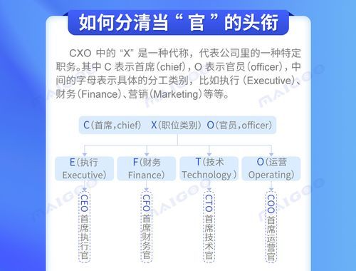 什么是CFO,CEO,CHO,CTO,CIO,CMO?cfo是什么意思-图2 什么是CFO,CEO,CHO,CTO,CIO,CMO?cfo是什么意思-图2