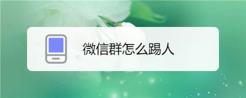 微信群怎么踢人?微信怎么踢人-图3 微信群怎么踢人?微信怎么踢人-图3