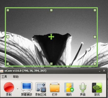 ocam录屏软件好用吗?ocam-图2 ocam录屏软件好用吗?ocam-图2
