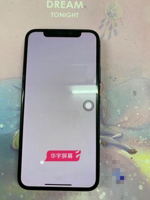 苹果15pro和15promax的屏幕厂家?日本xsmax-图2 苹果15pro和15promax的屏幕厂家?日本xsmax-图2
