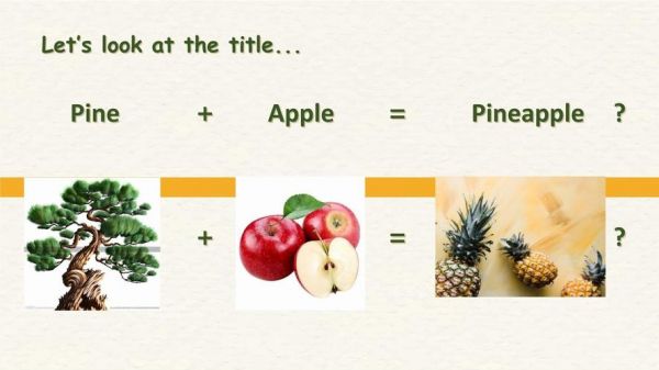 pineapple里面有没有apple?pineapple是什么意思-图3 pineapple里面有没有apple?pineapple是什么意思-图3