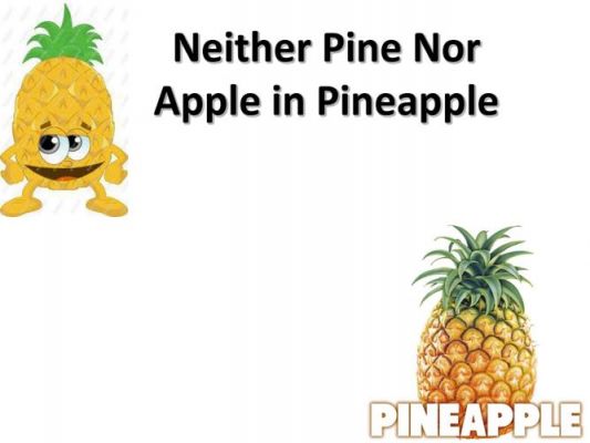 pineapple里面有没有apple?pineapple是什么意思-图2 pineapple里面有没有apple?pineapple是什么意思-图2
