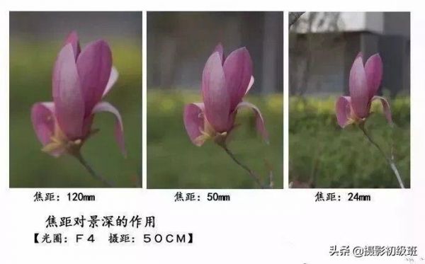 什么是景深？景深是什么意思